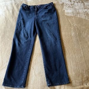 Gloria Vanderbilt Amanda Blue Denim Jeans, Women's Plus Size 16 Average